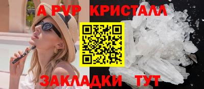 прущие крисы Кингисепп