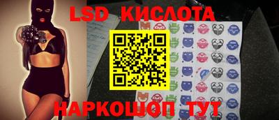 прущие крисы Кингисепп