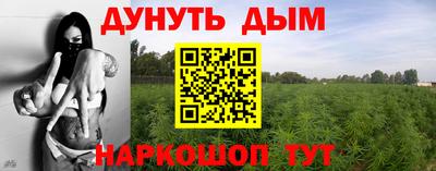прущие крисы Кингисепп